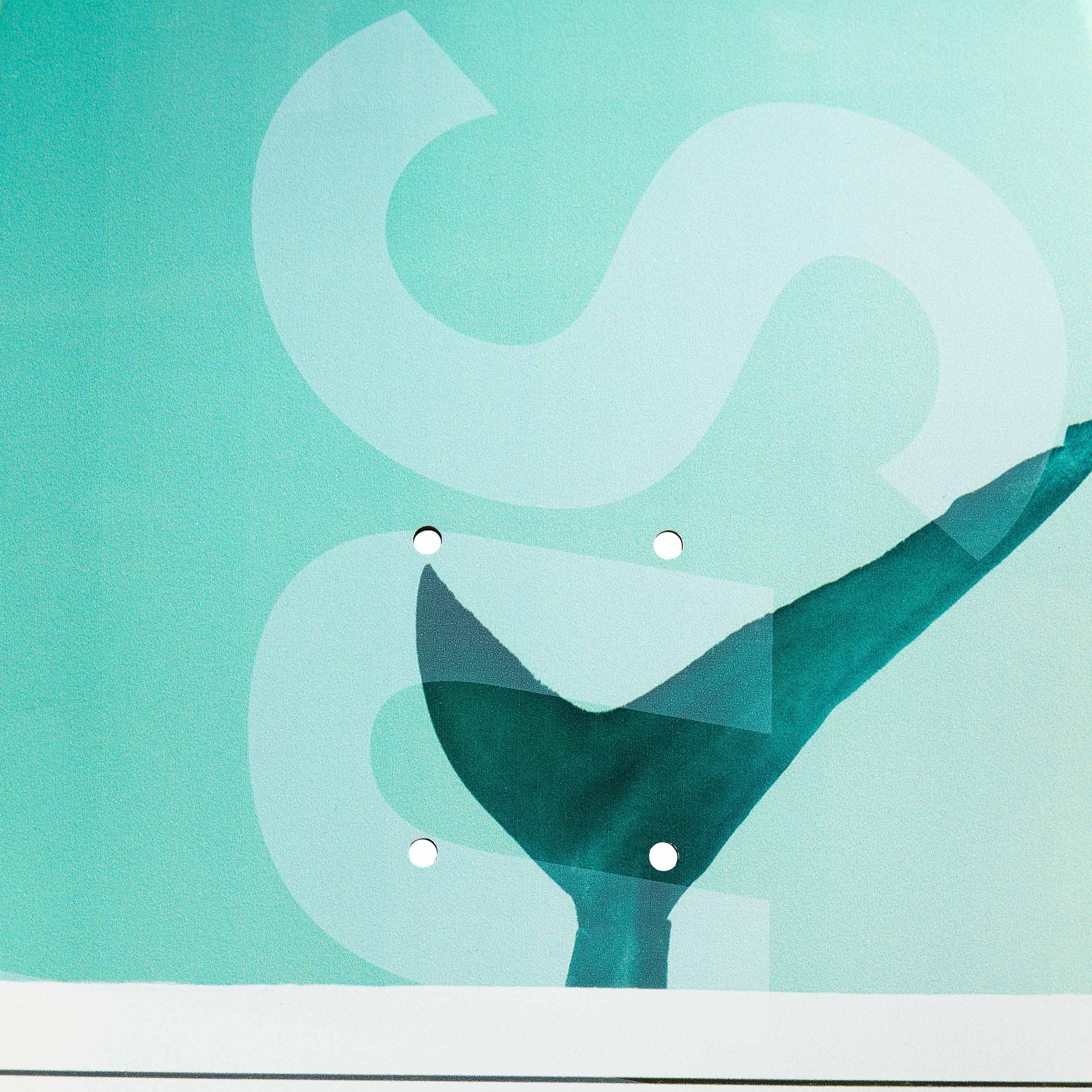 Supreme/Damien Hirst Shark Skateboard view 3